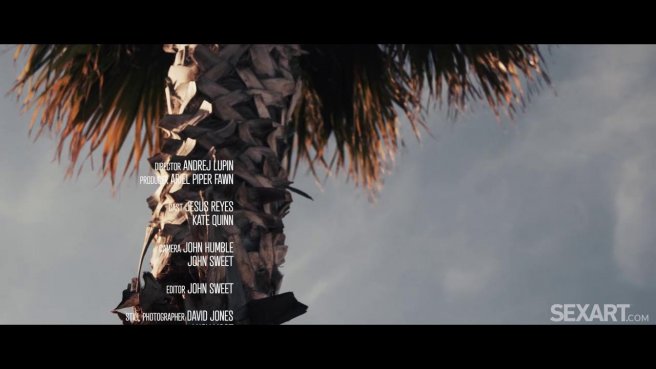 Негр проведал жену начальника и растянул членом ее письку